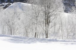 Kandersteg 2013